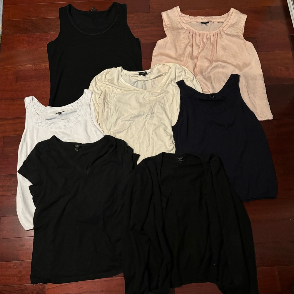 Talbots woman’s tops size petite large